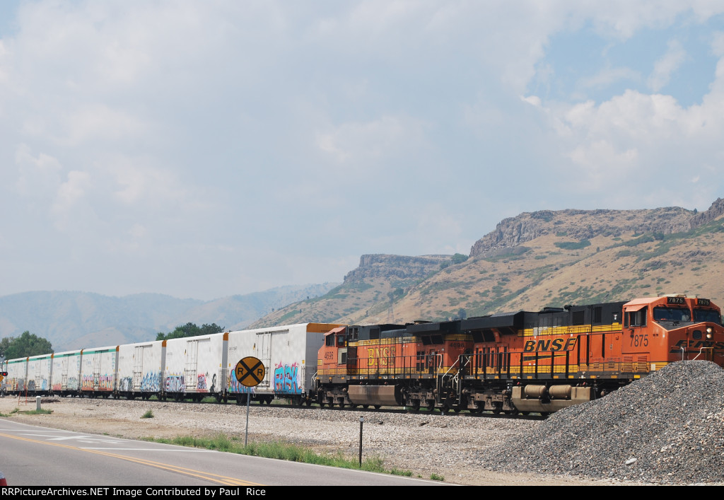 BNSF 7875 Head On East Bound Beer Train